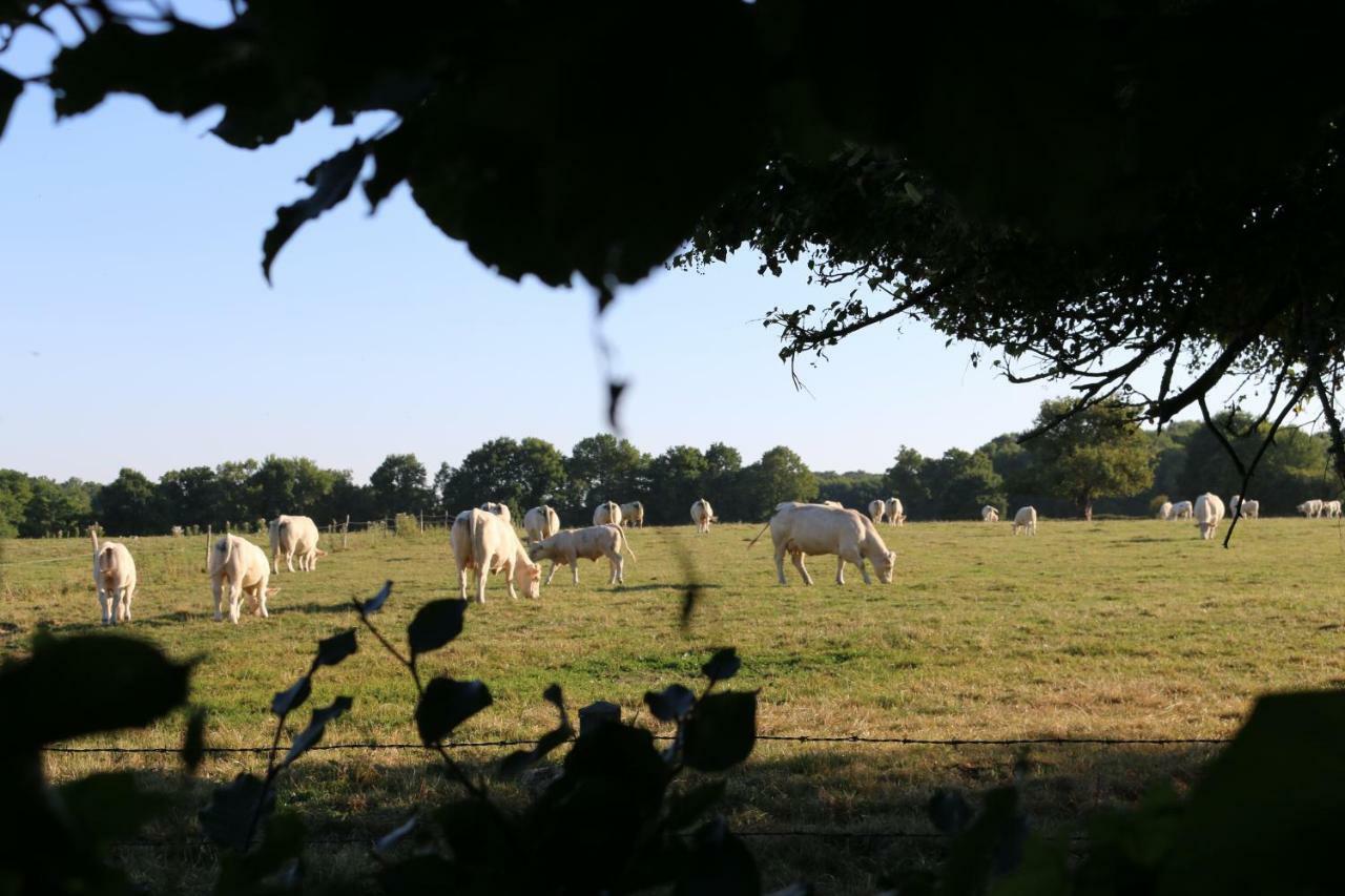 Le Bourgis Bed & Breakfast La Chapelle-Montligeon Bagian luar foto