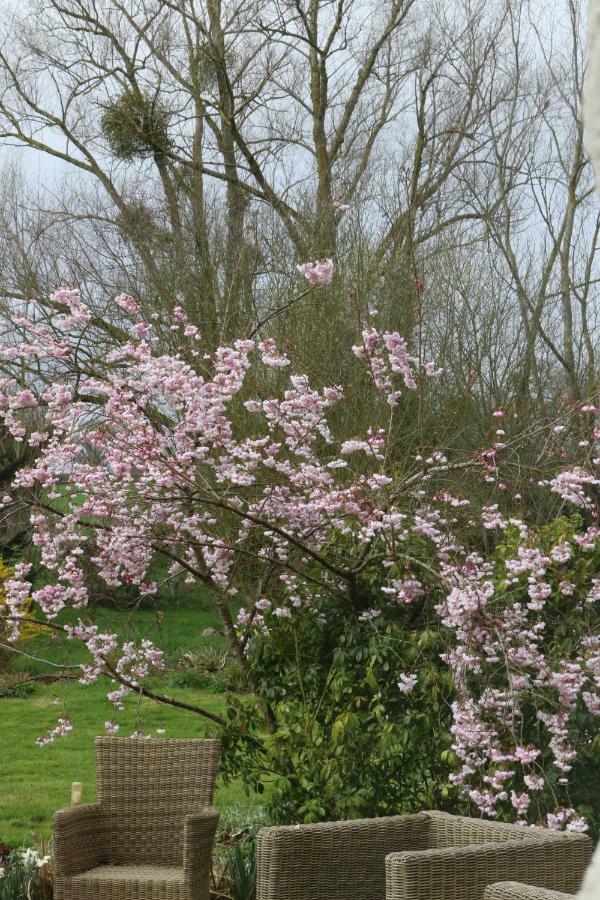 Le Bourgis Bed & Breakfast La Chapelle-Montligeon Bagian luar foto