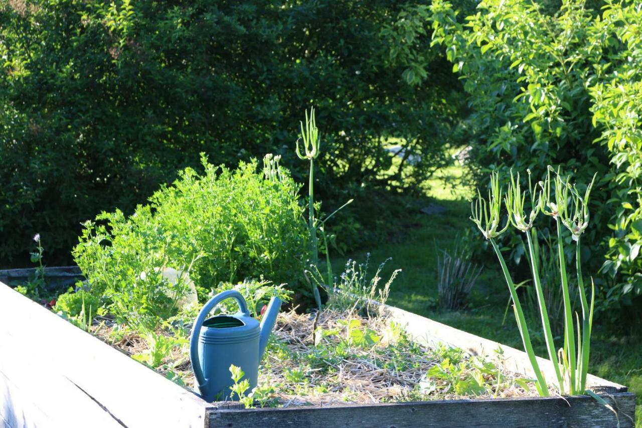 Le Bourgis Bed & Breakfast La Chapelle-Montligeon Bagian luar foto