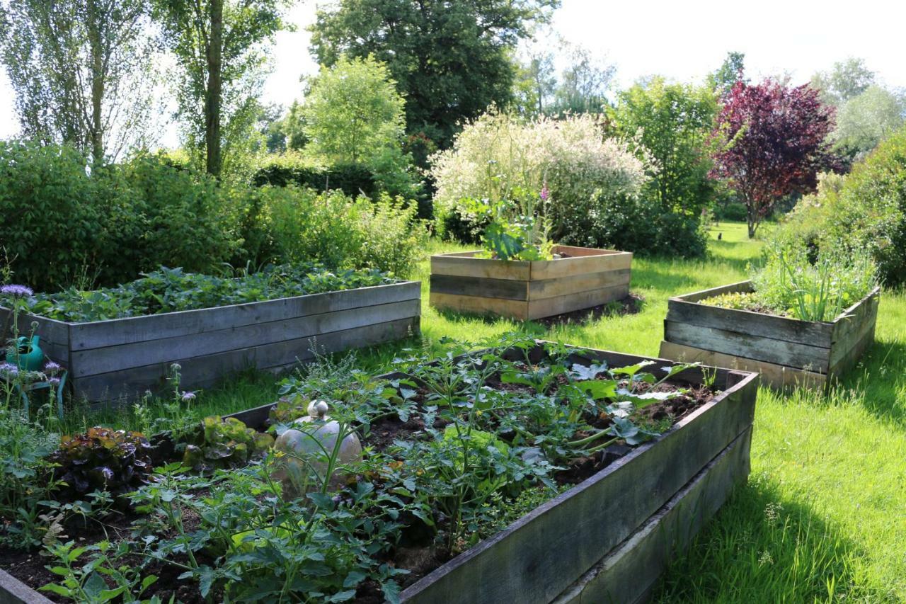 Le Bourgis Bed & Breakfast La Chapelle-Montligeon Bagian luar foto