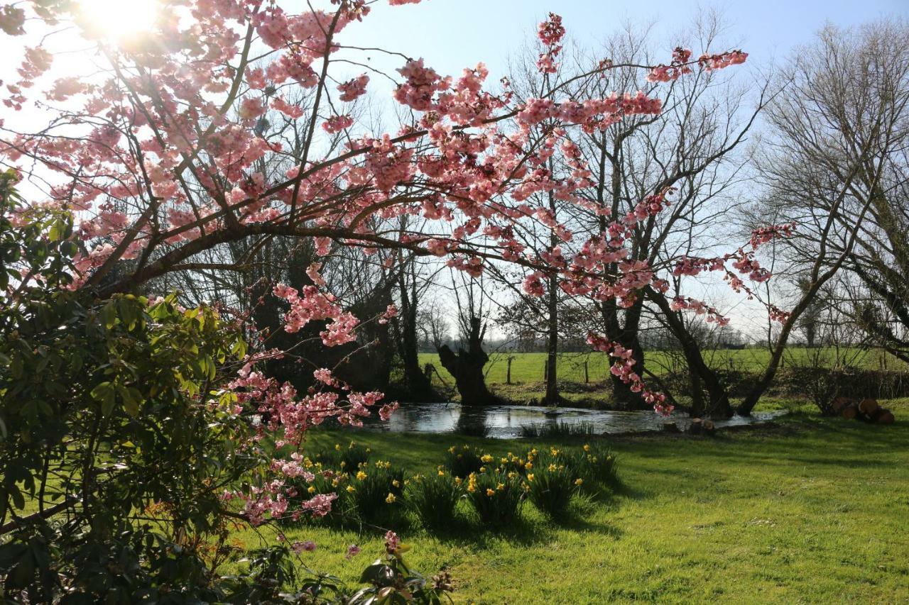 Le Bourgis Bed & Breakfast La Chapelle-Montligeon Bagian luar foto